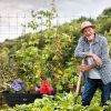 Kerti szállítókocsi, talicska, billenős, 75 l, 200 kg, nagyméretű felfújható kerekek, MultiGarden